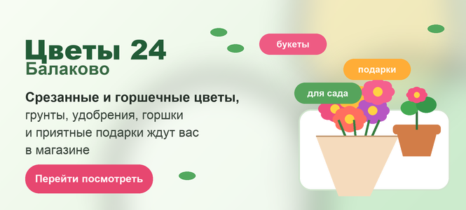 Цветы 24 Балаково: срезанные и горшечные цветы, грунты, удобрения, горшки и подарки